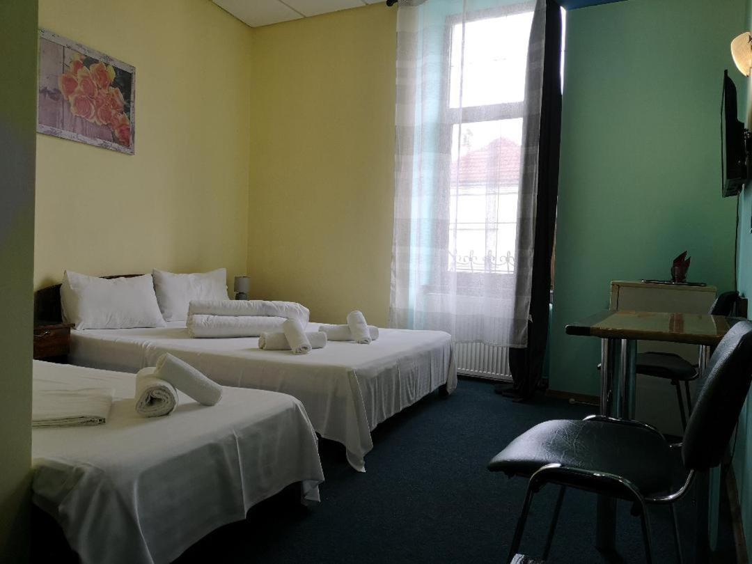 Pension Flamingo Brașov Exterior foto