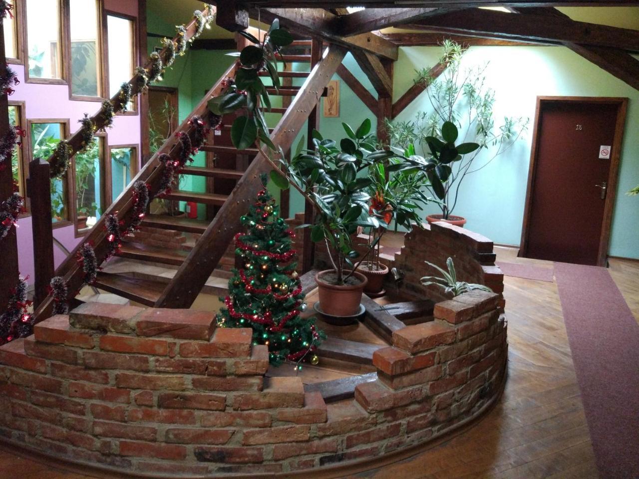Pension Flamingo Brașov Exterior foto